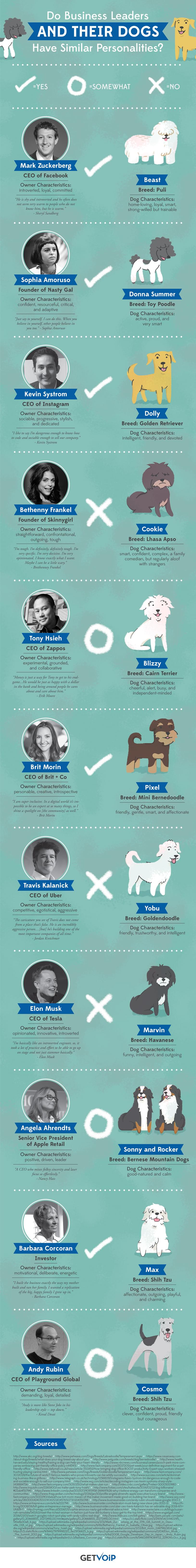 The-dogs-of-the-world's-most-successful-business-leaders