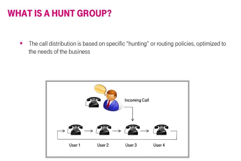 What is a hunt group